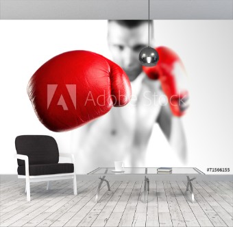 Picture of Black and white fighter with red gloves Bokeh